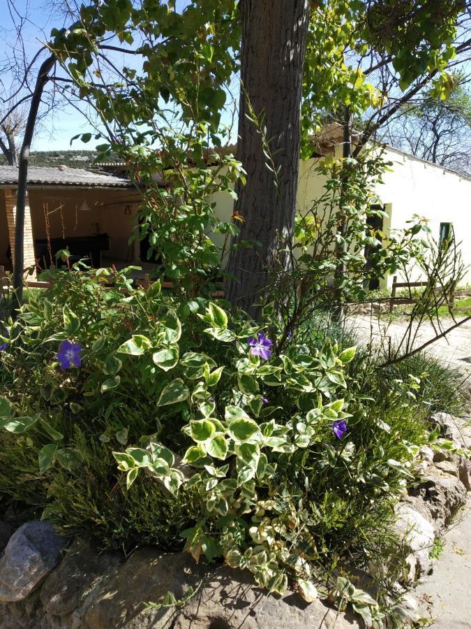 Camping Yaso-Guara Extérieur photo